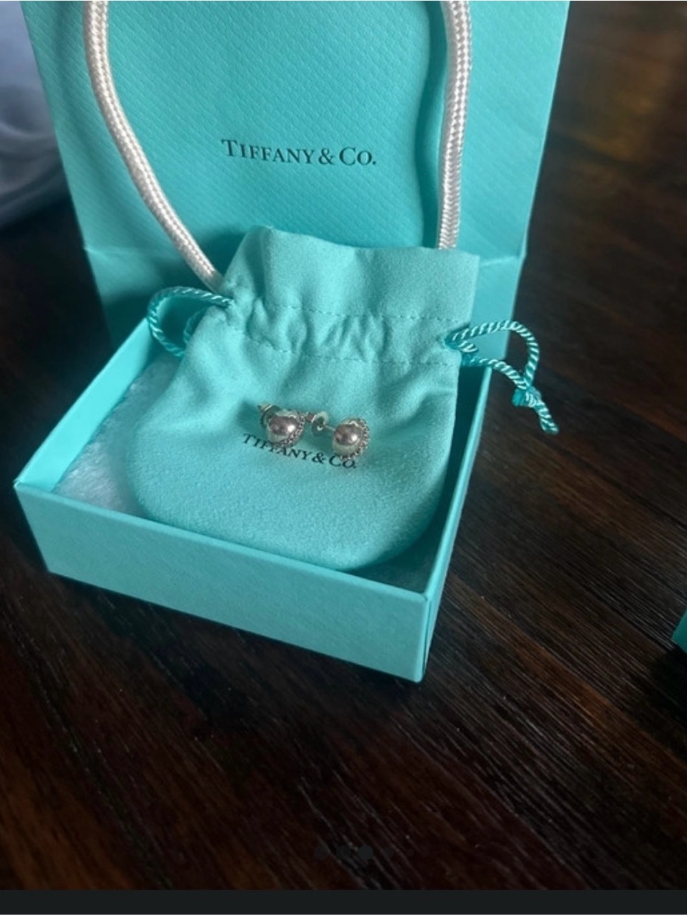 Tiffany & Co. Sterling Silver Stud Earrings with Tiffany Blue Pouch